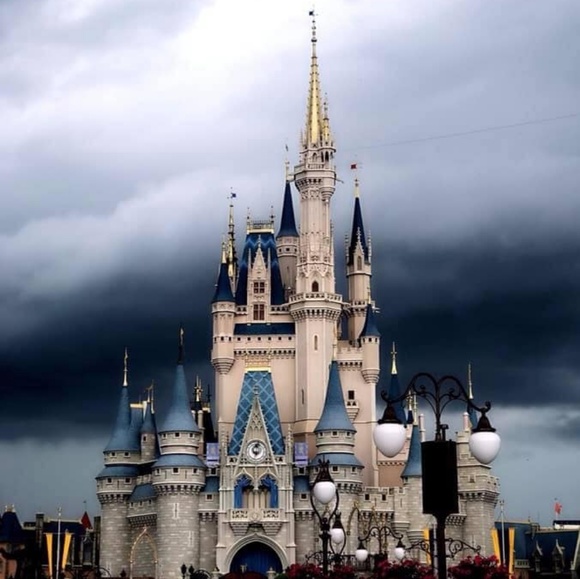 Meet your Posher, Casey - Picture 1 of 1